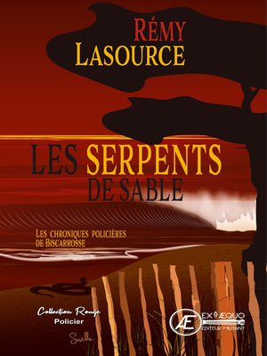cover image of Les chroniques policières de Biscarrosse--Tome 4
